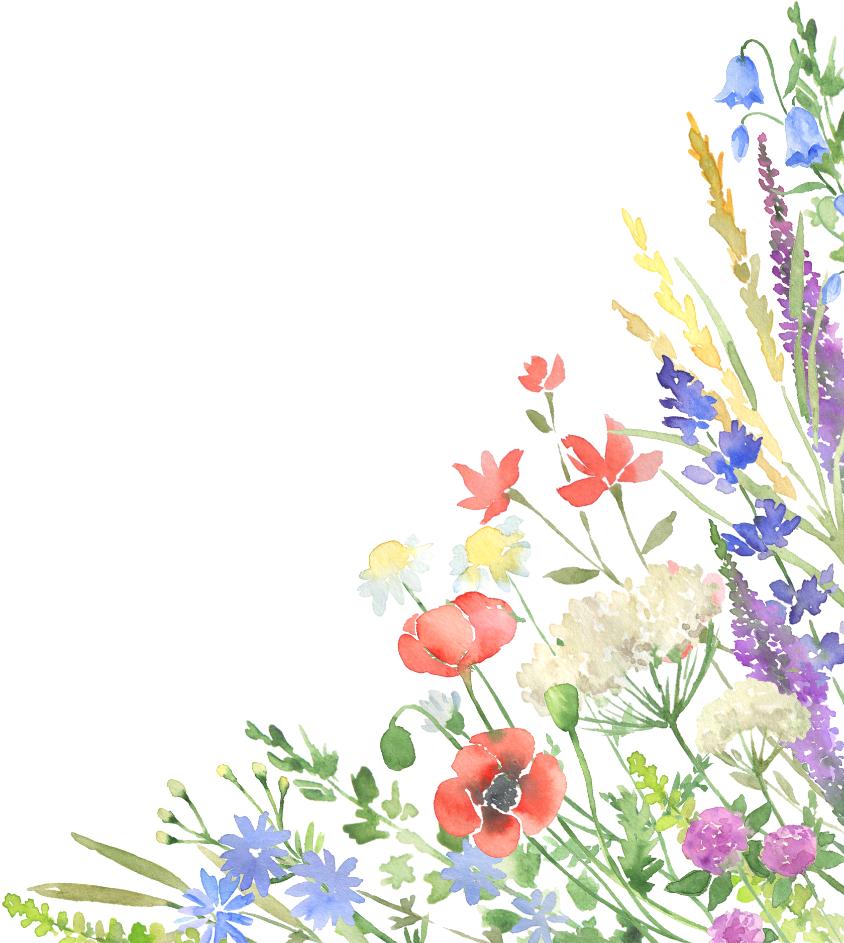 Watercolor Wildflowers Design